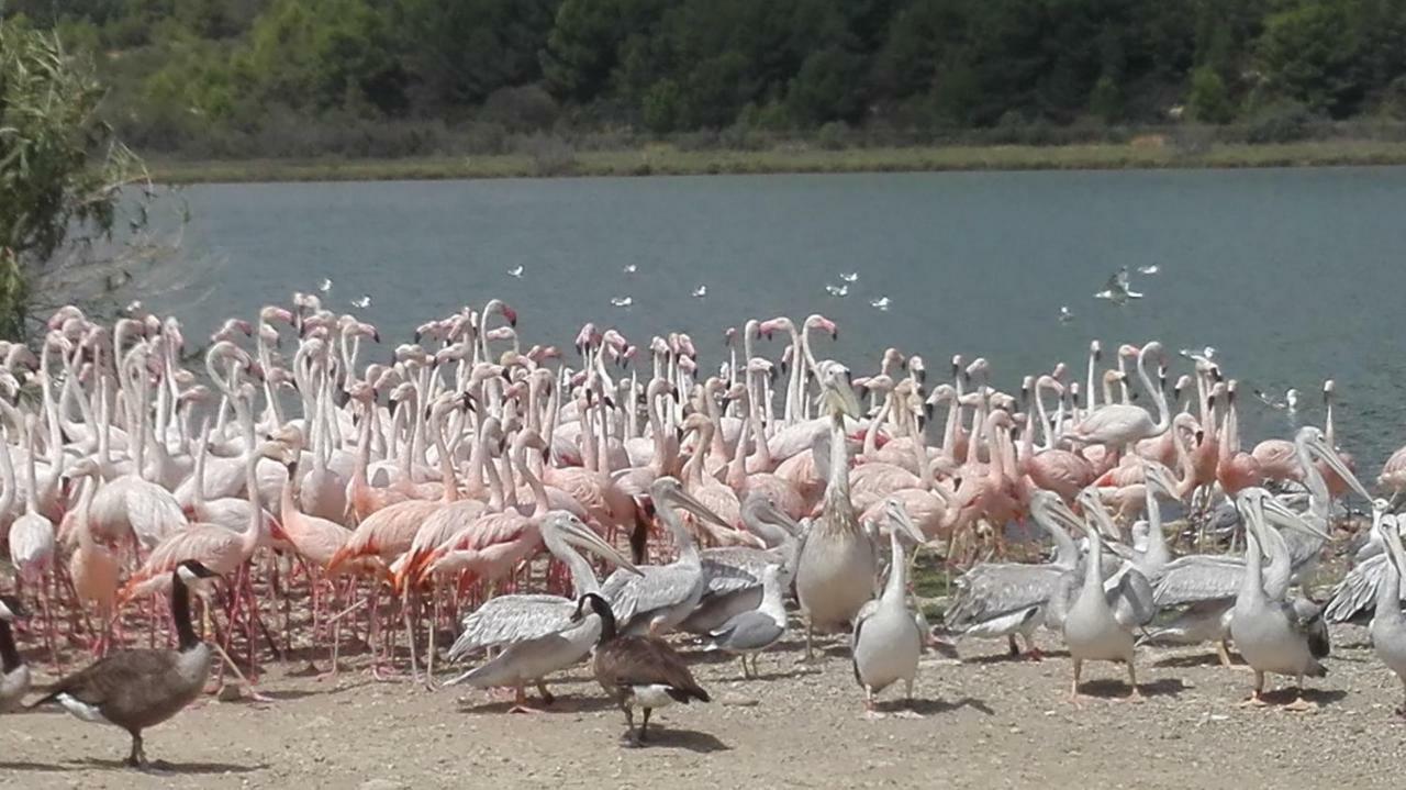 Shaka Aum Ξενοδοχείο Sigean Εξωτερικό φωτογραφία
